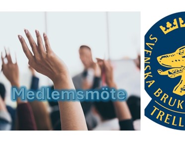 Medlemsmöte