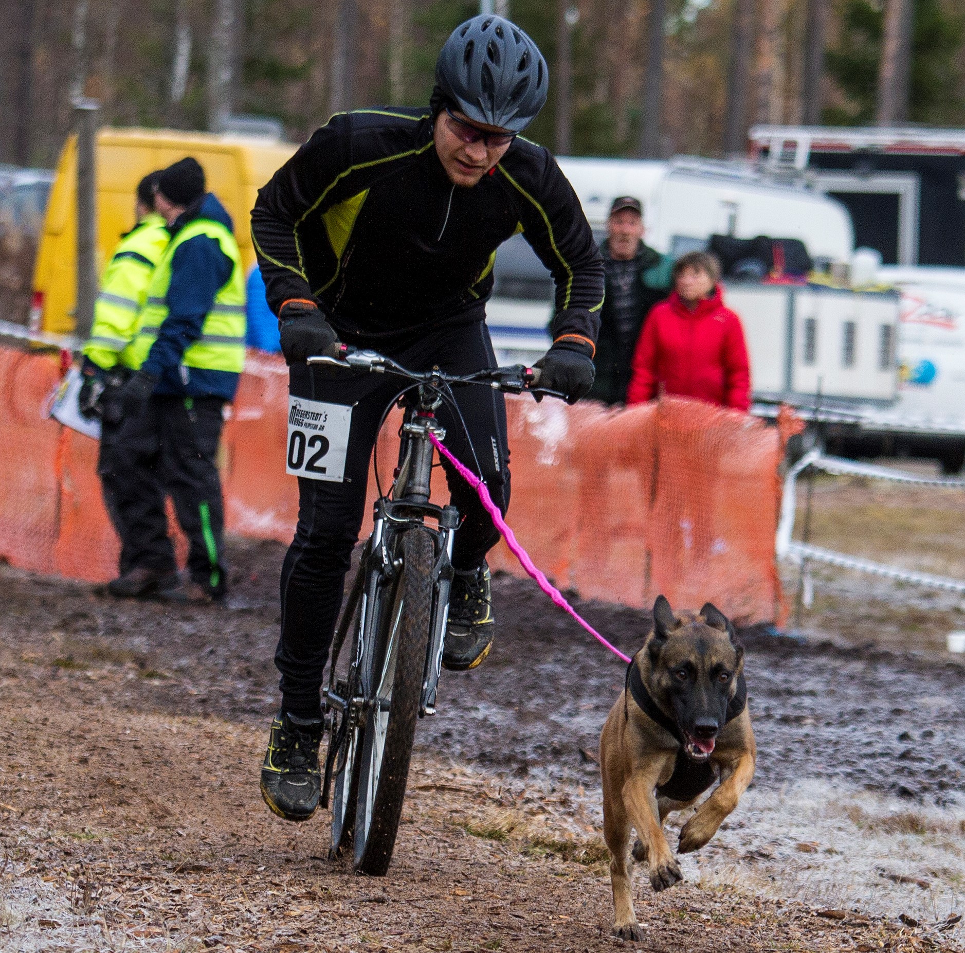 Draghund med cykel