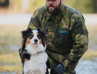 Tjänstehund