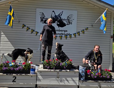 Prispallen i distriktsmästerskapet. Glada hundar och personer