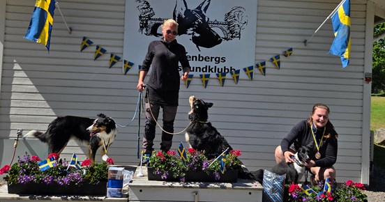 Prispallen i distriktsmästerskapet. Glada hundar och personer