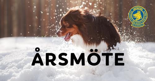 Årsmöte