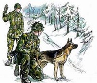 Patrullhund