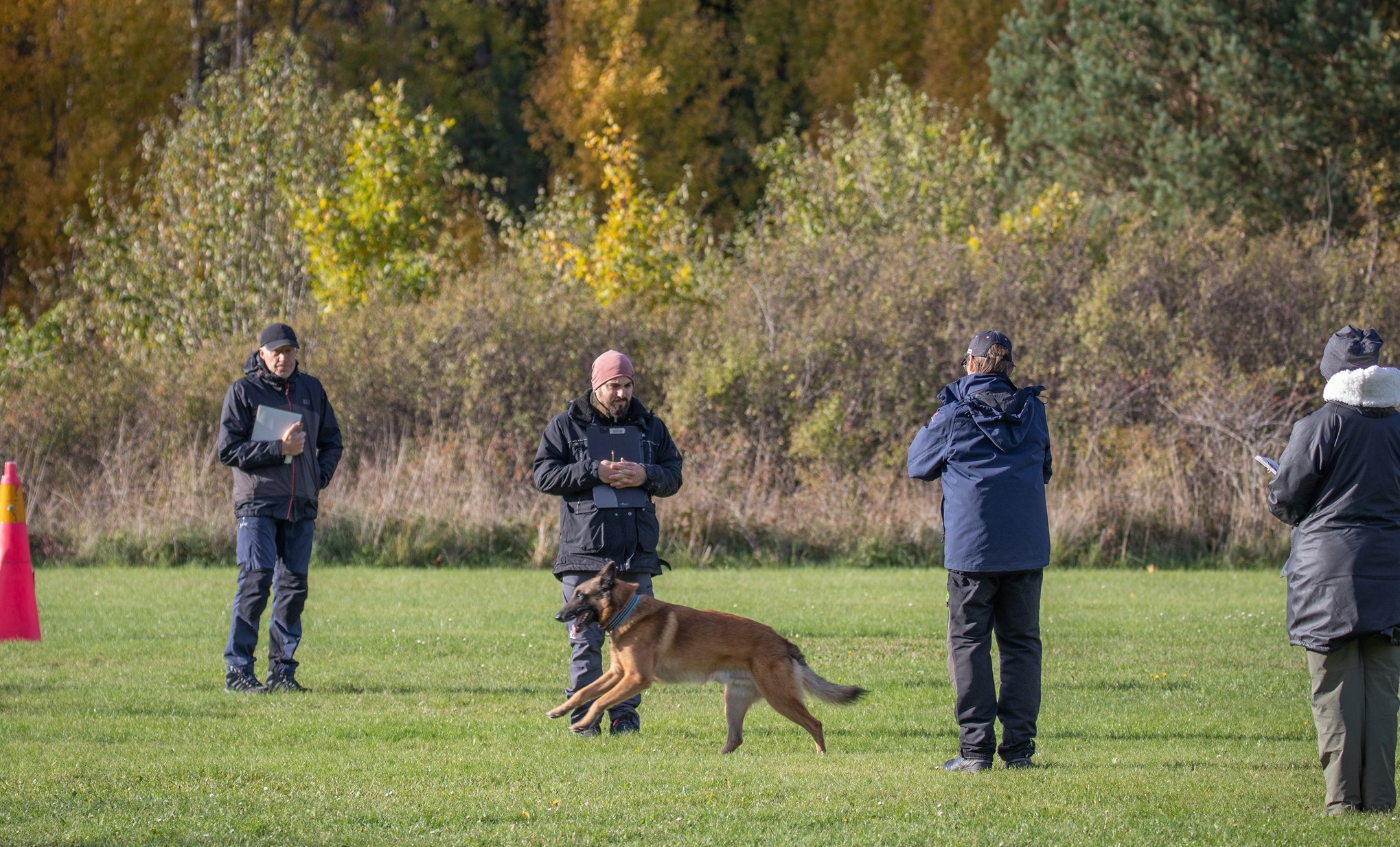 Momentet Framåtsändande genom grupp