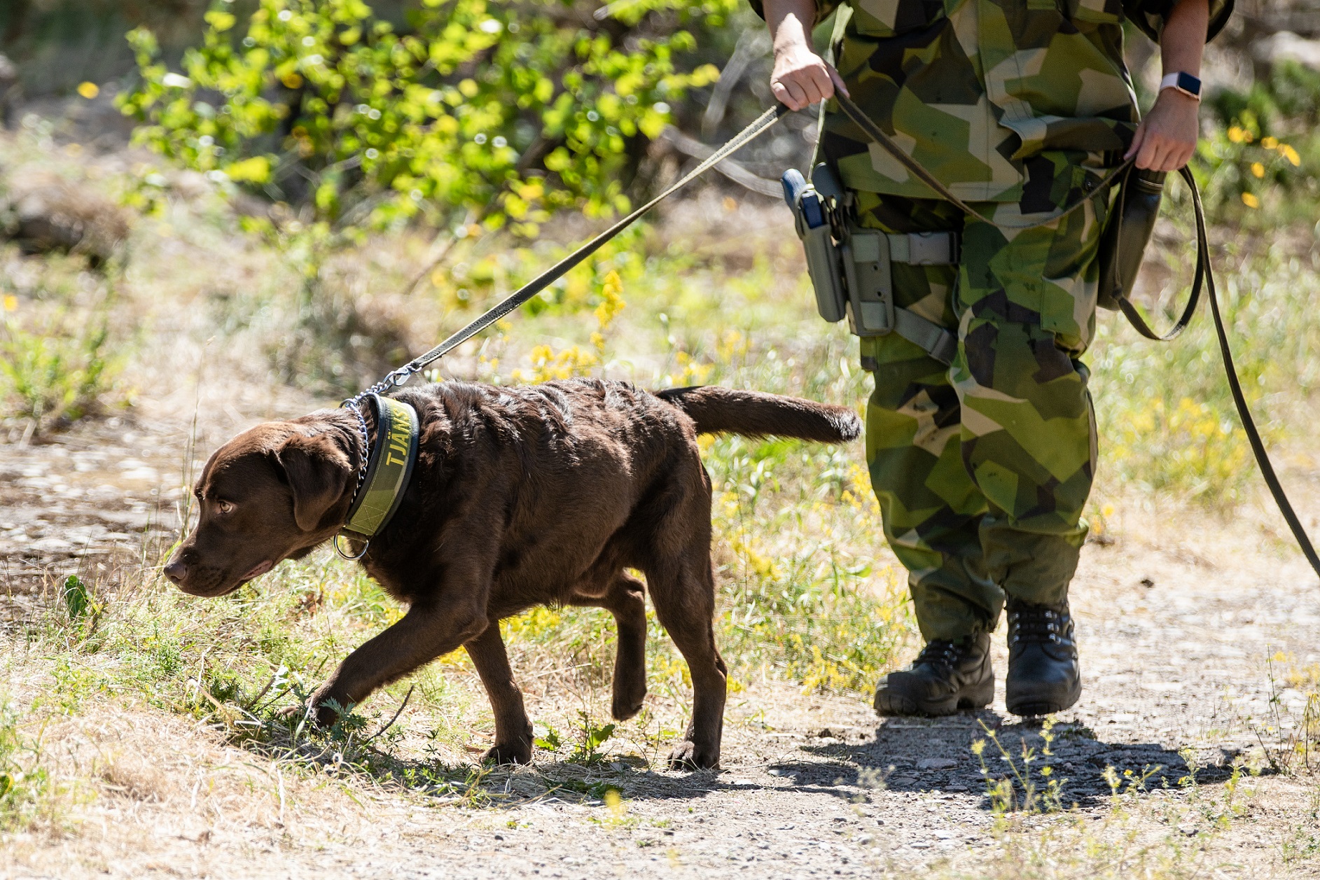 Fotograf: Magnus Fröderberg