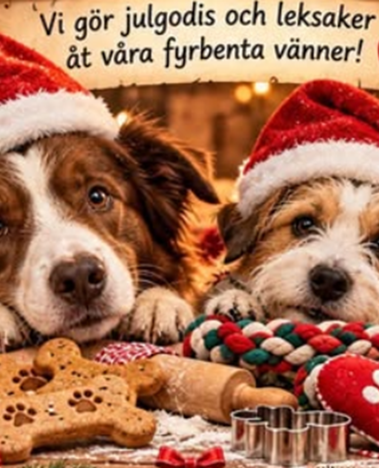 Julhund 2