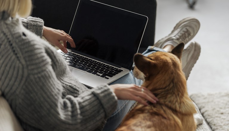 Hund och människa som tittar på en dator.