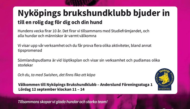 Hundens vecka tillsammans med Studiefrämjandet. Lördag 12 september.