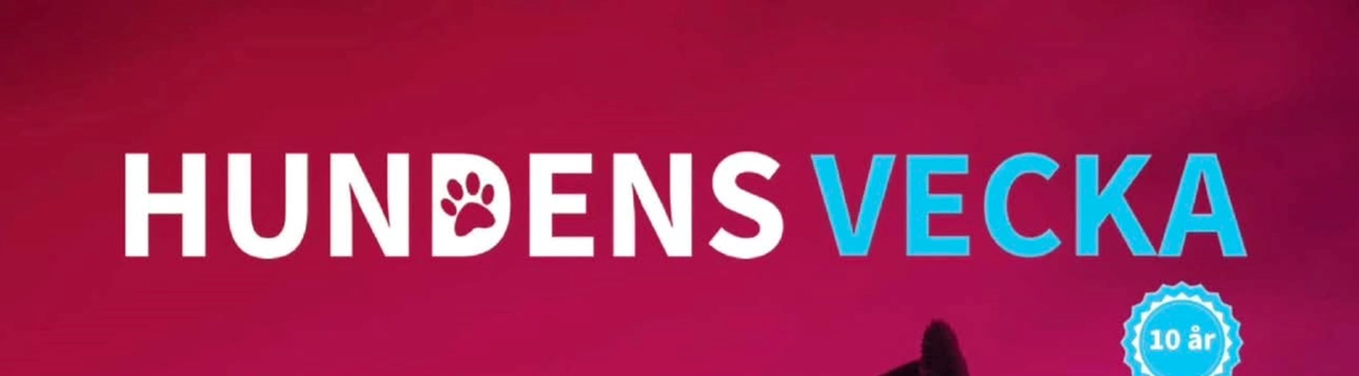 Hundens vecka tillsammans med Studiefrämjandet. Lördag 12 september.