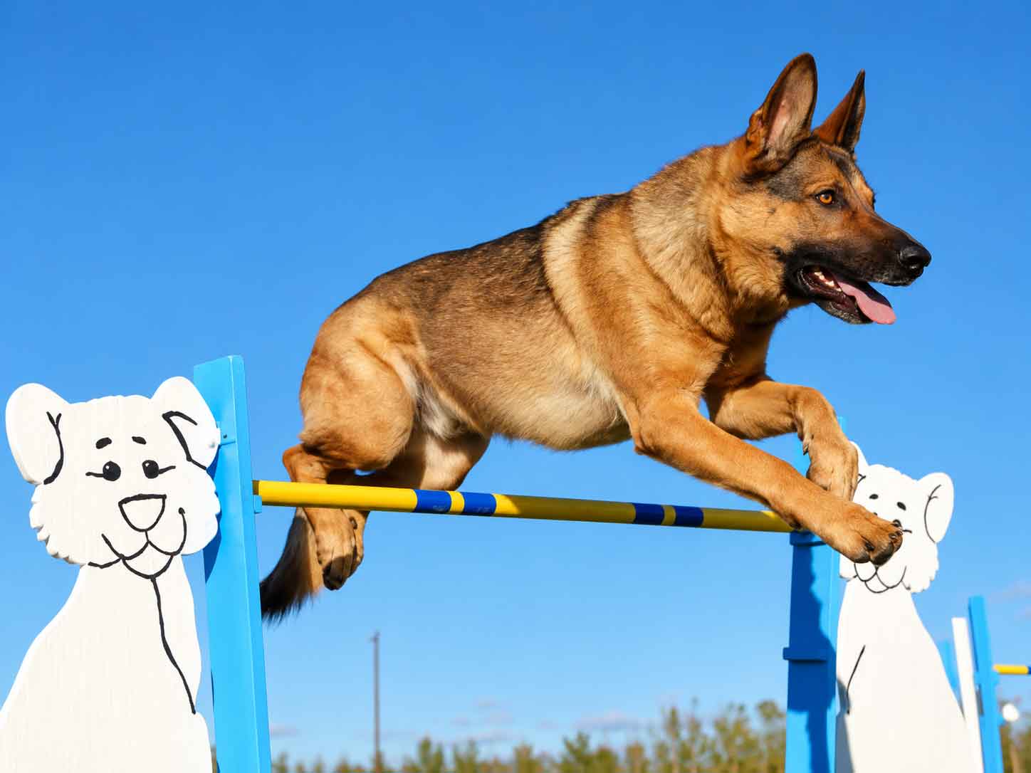 Agility