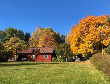 Lillstugan I Höstskrud