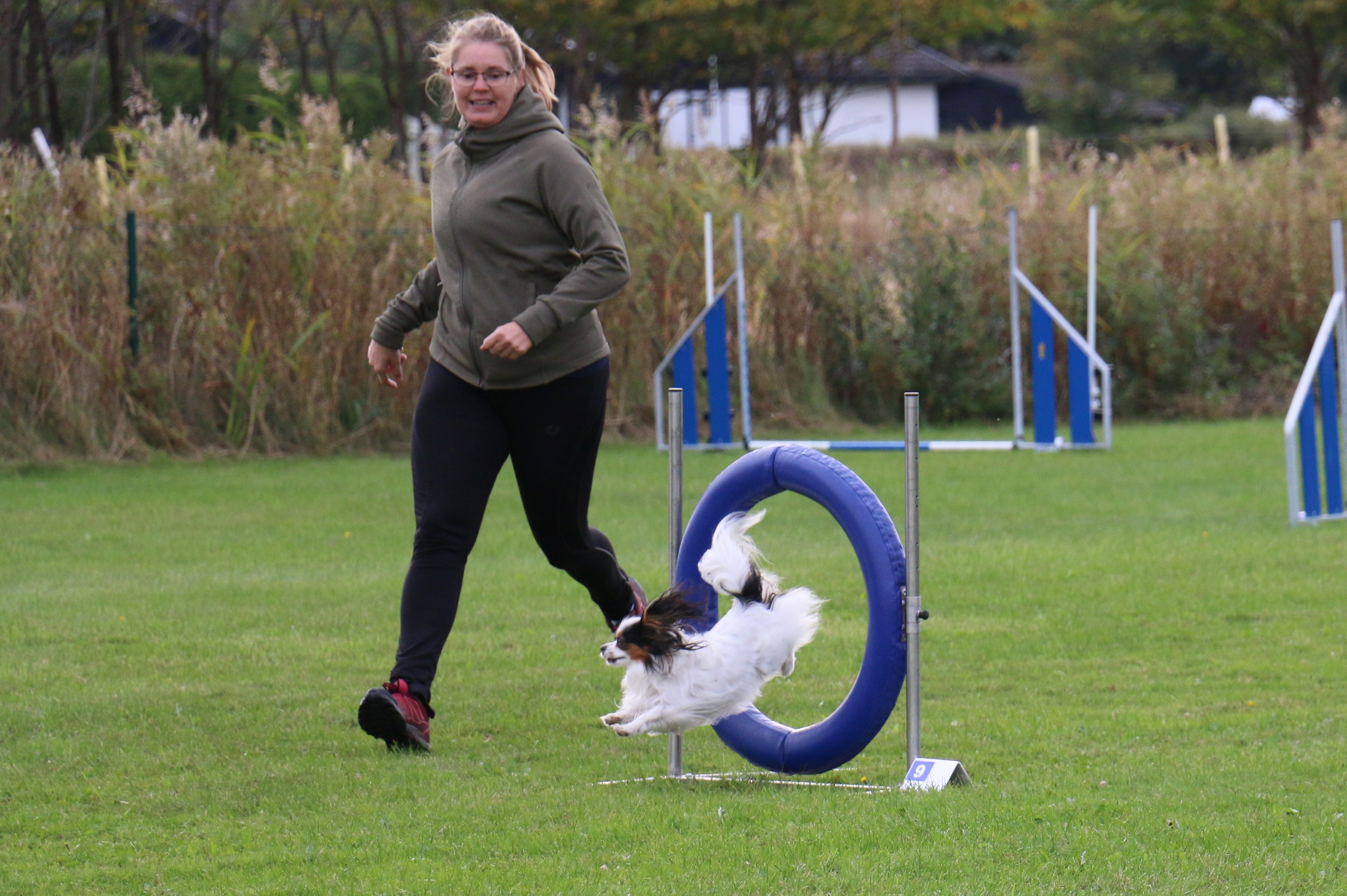 Ett tävlingsekipage i tävling agility
