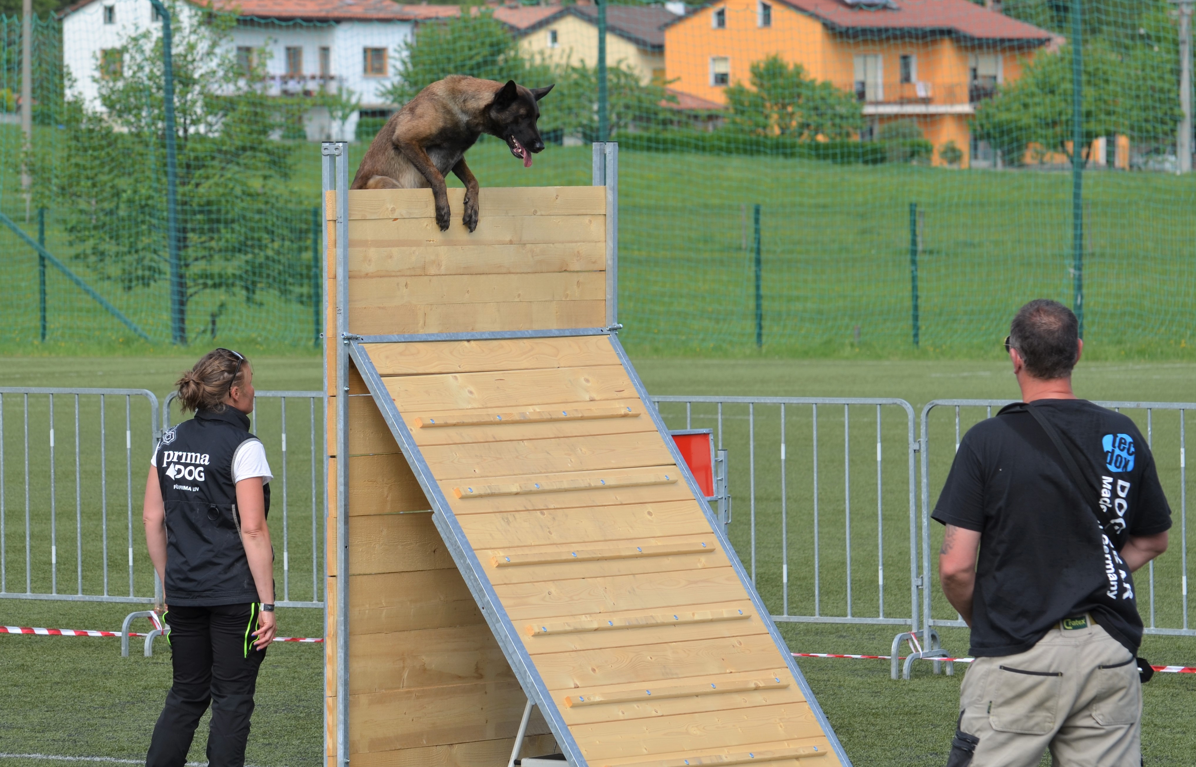 Hund över plank MR