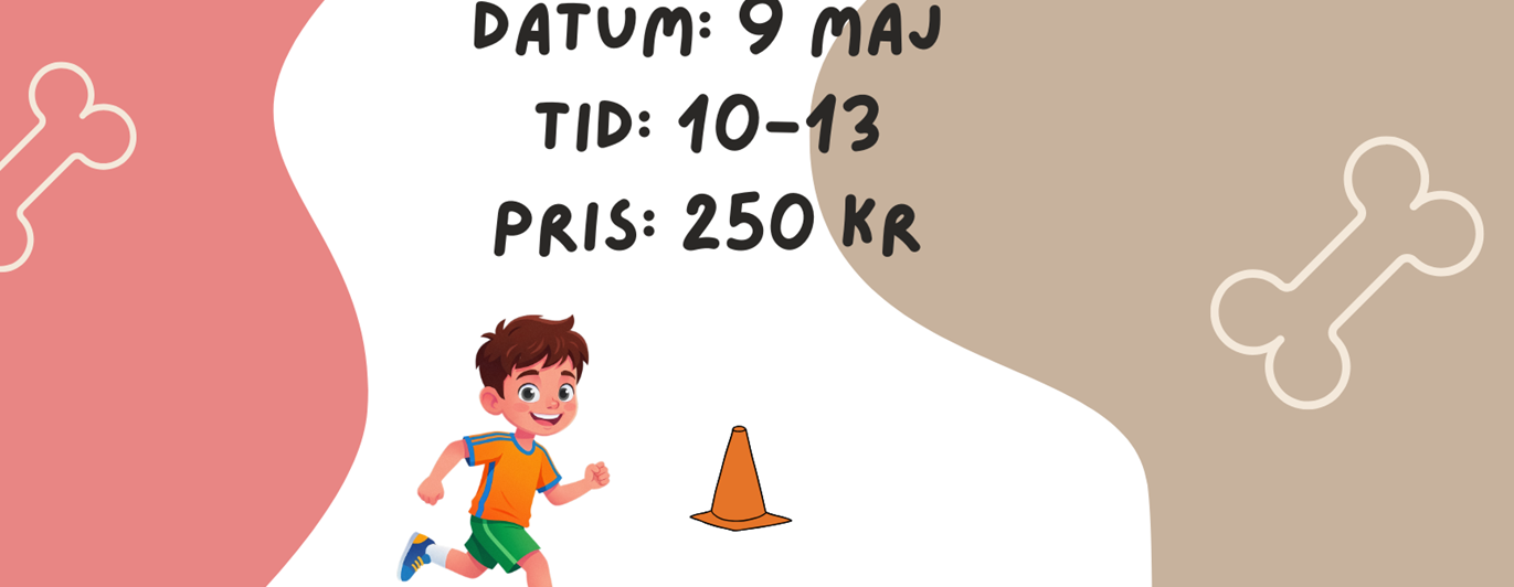 en bild med information angående hoopers kurs