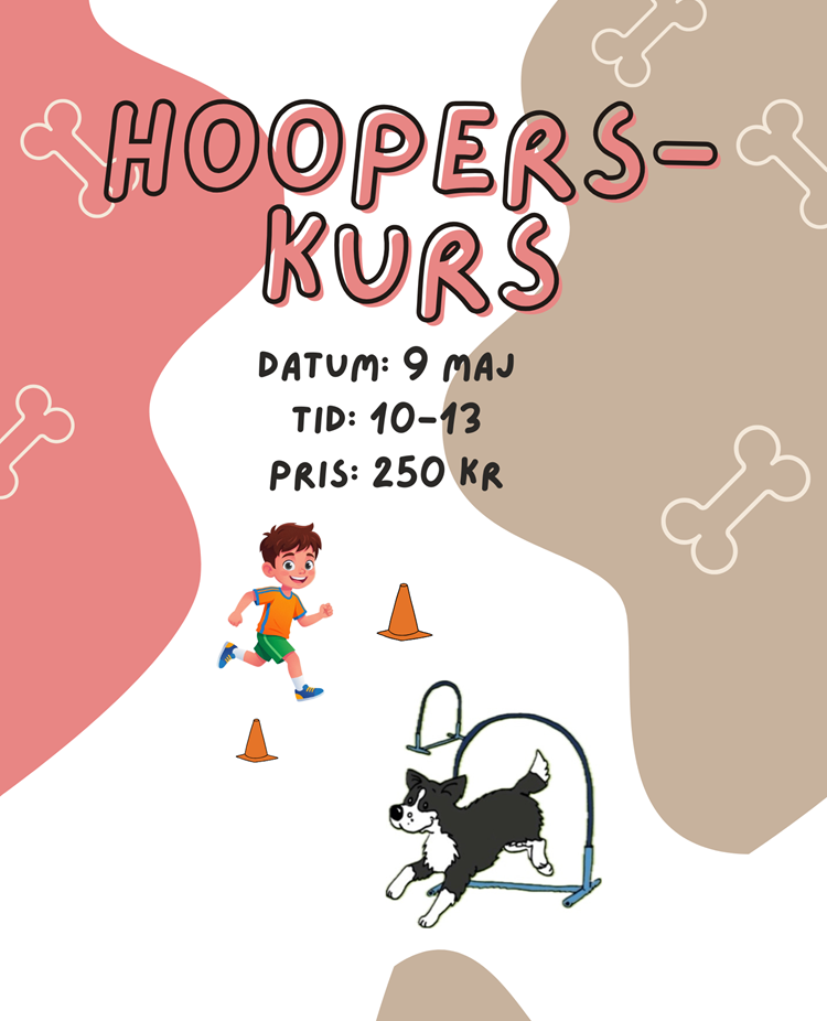 en bild med information angående hoopers kurs