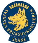 NY Klubblogo Skane150