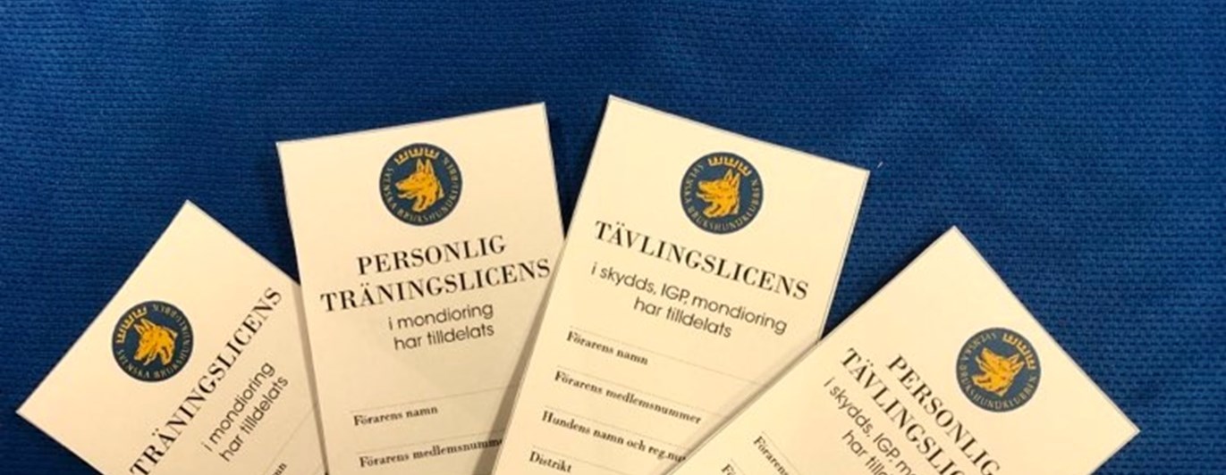 Bild på licenser