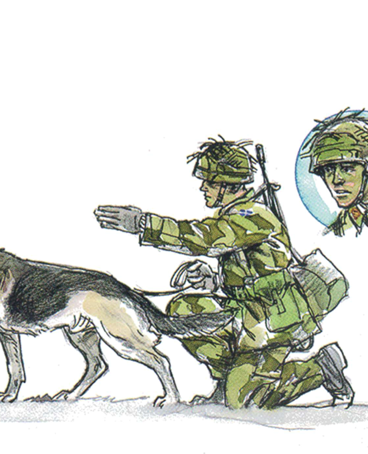 Patrullhund