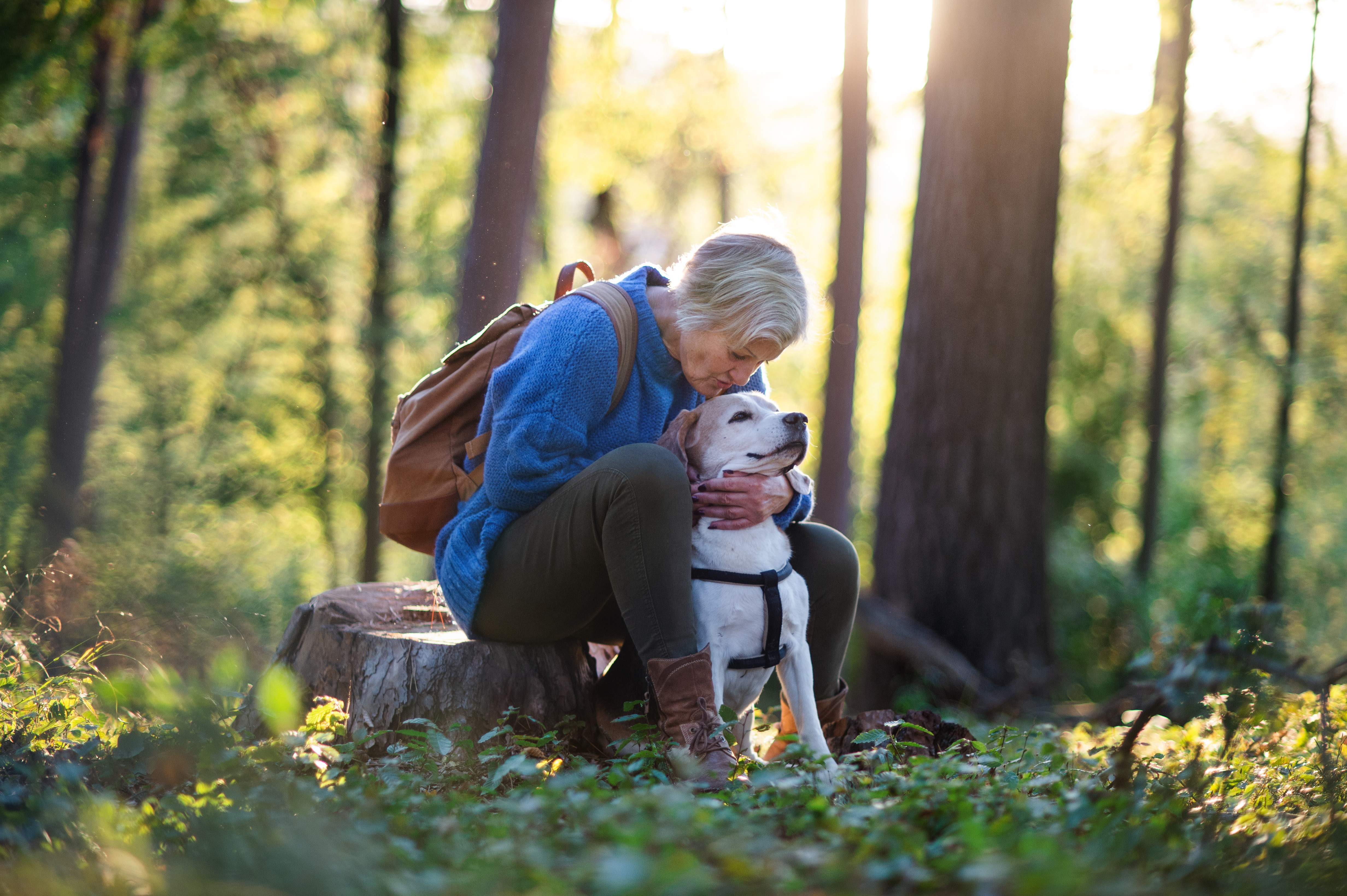 Kvinna med hund i skogen