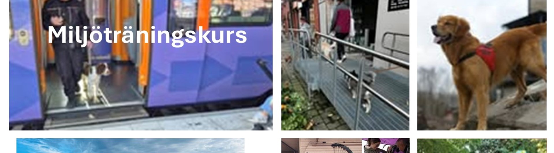 Bild för miljöträningskurs