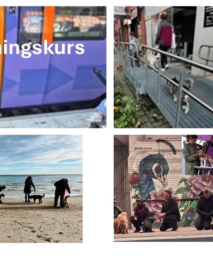 Bild för miljöträningskurs