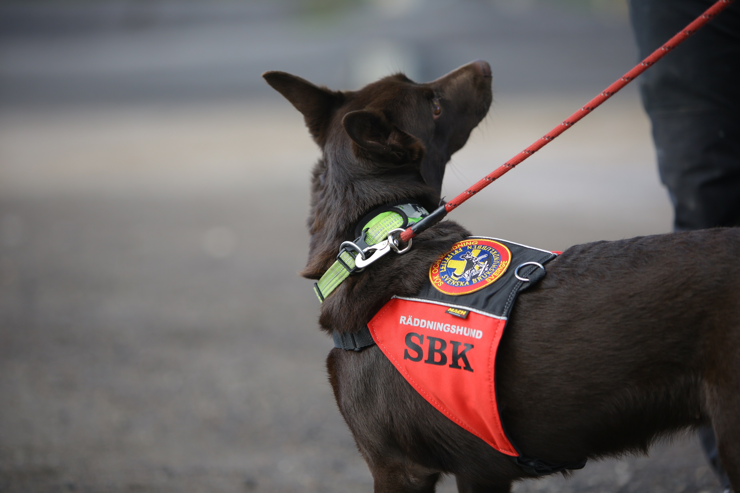 Fotograf: Christian Björses