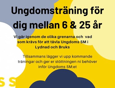 ungdomsträning