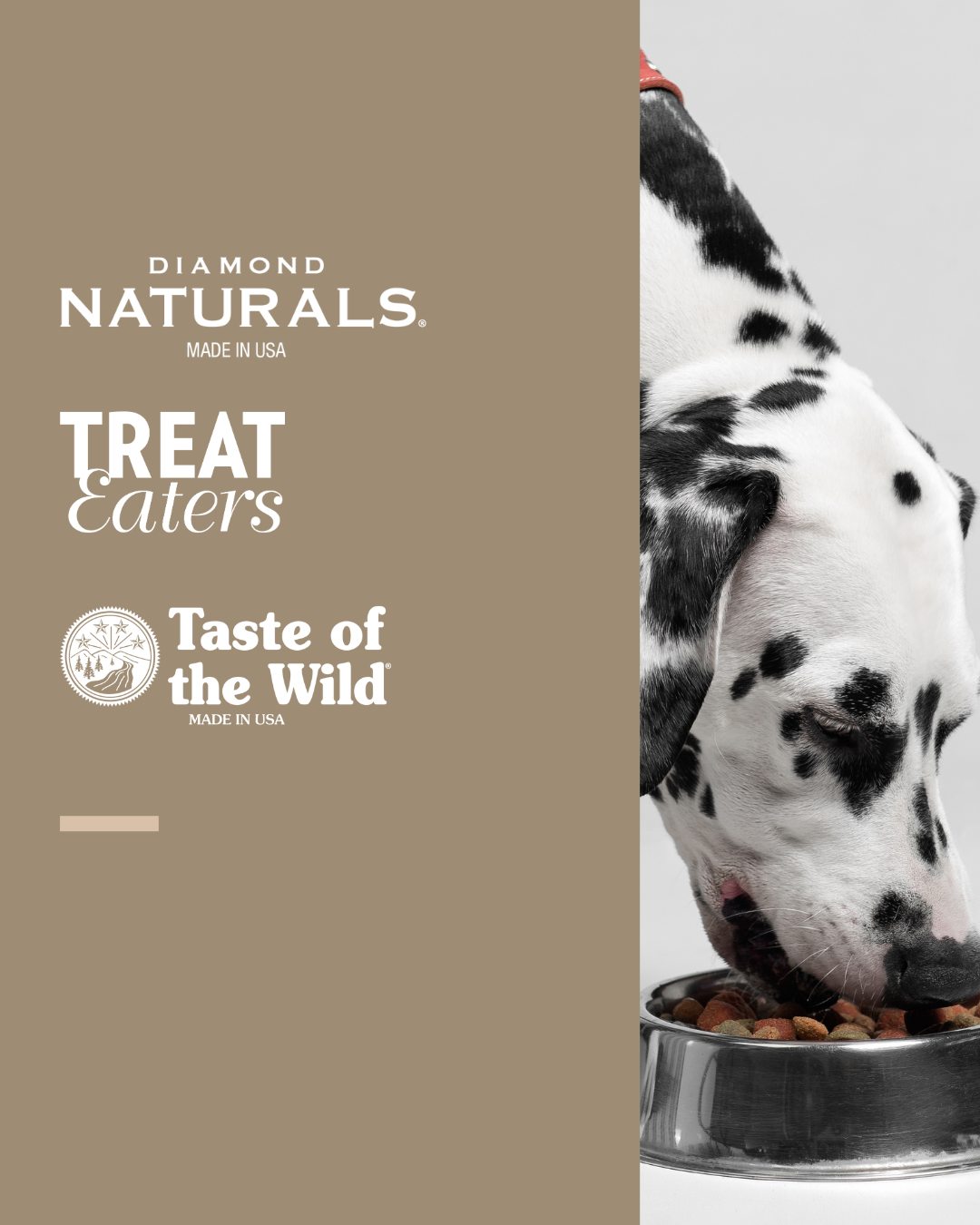 Foderlära Föreläsning