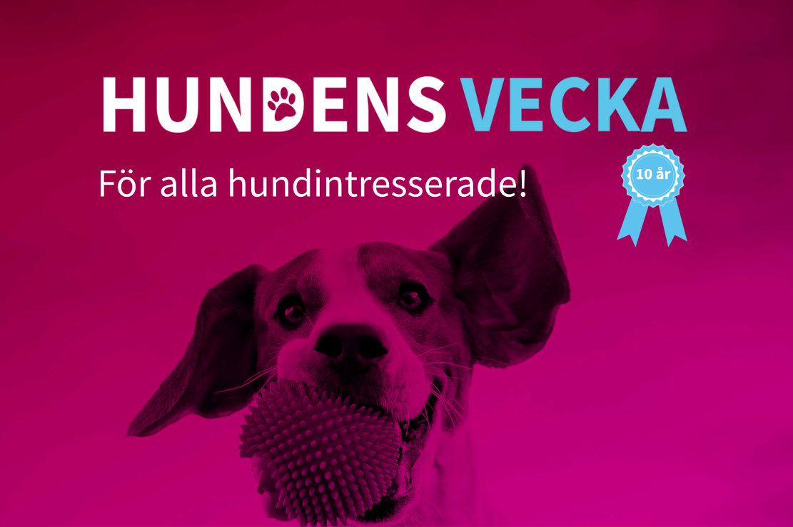 Hundens vecka 2026