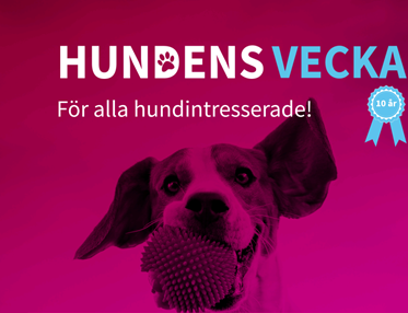 Hundens vecka 2026