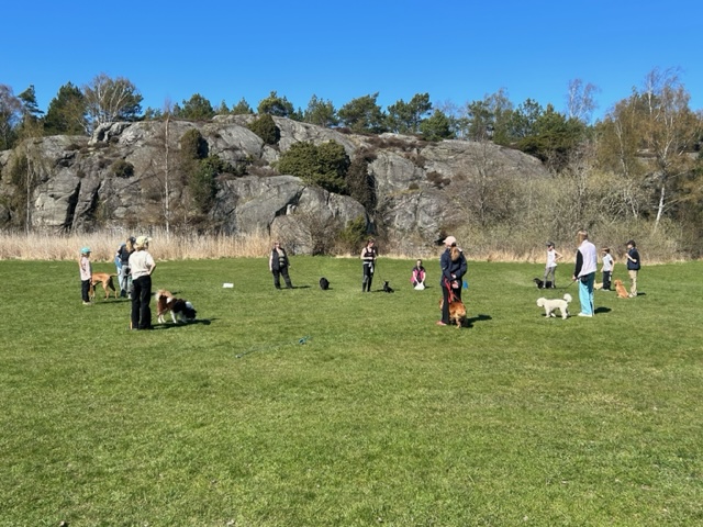 Torslanda-Öckerö Brukshundklubb öppen träning