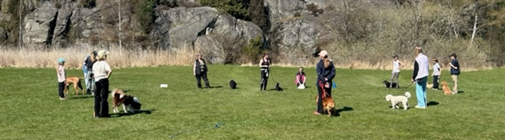 Torslanda-Öckerö Brukshundklubb öppen träning