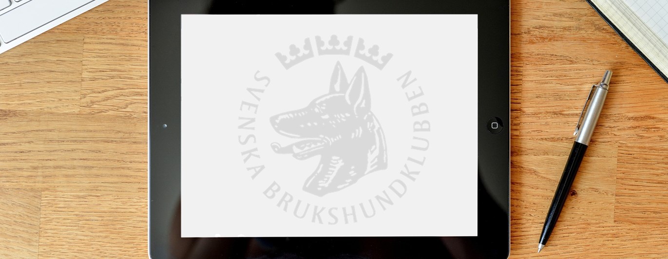 Bild som visar en Ipad med SBK logotype liggande på ett bord.