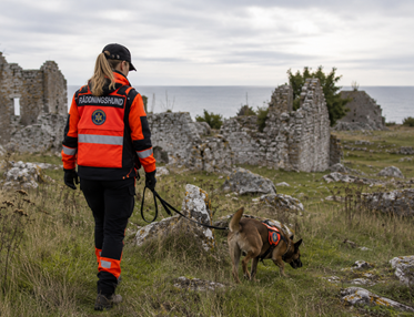 Räddningshund på Gotland