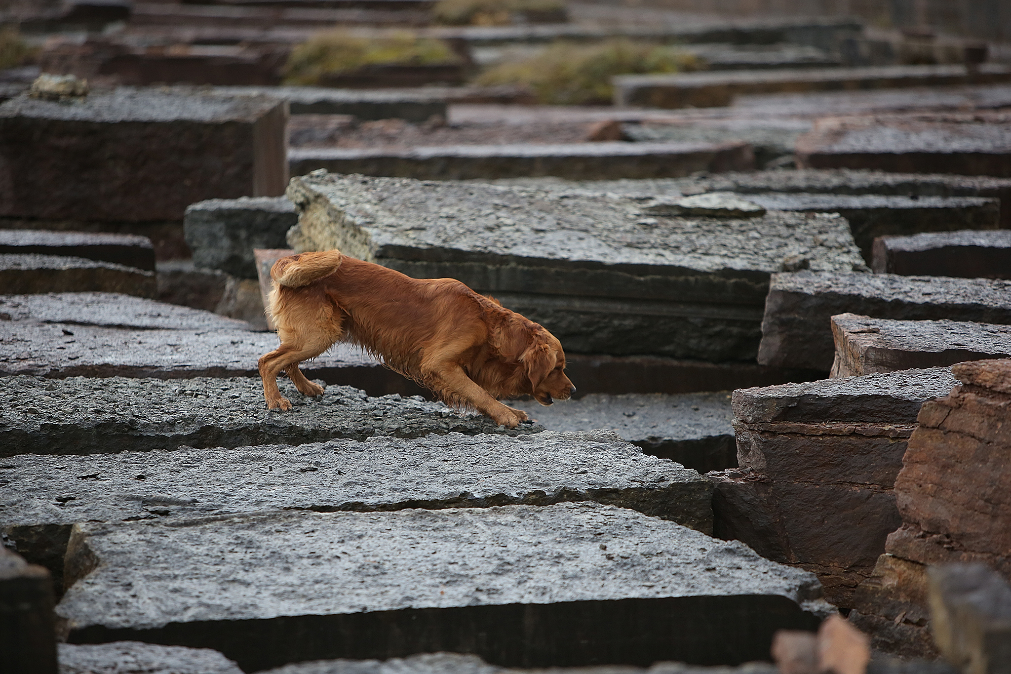 Fotograf: Christian Björses