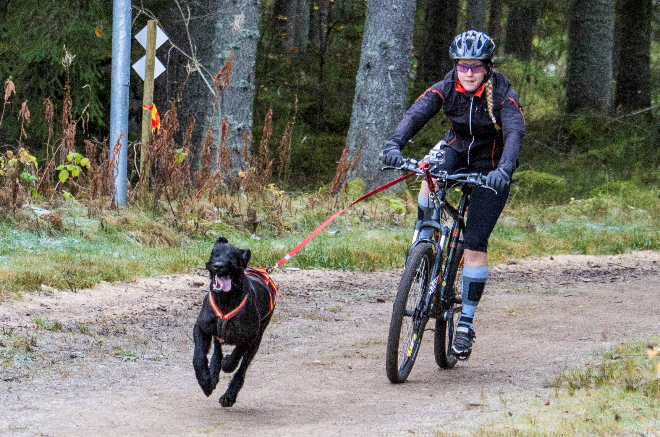 Barmarksdrag med cykel