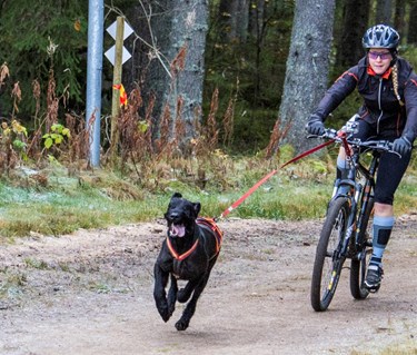 Barmarksdrag med cykel