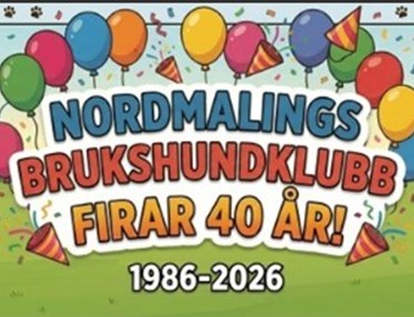 nbhk 40år visar olika hundar och ballonger